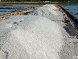 Terobosan Nasional: Indonesia Menuju Kemandirian Garam Industri, Target Nol Impor Akhir 2027