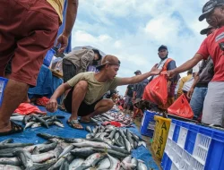 Jaminan Mutu Produk Perikanan Indonesia Bebas Radioaktif: Sinergi KKP dan Korps Brimob Polri Perkuat Kepercayaan Global