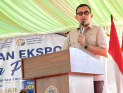 Gorontalo Ukir Sejarah, Kelapa Parut Olahan Sukses Tembus Pasar Ketat Uni Eropa