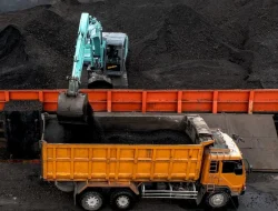 Pemerintah Desak Percepatan Kontrak, Alokasikan 212 Juta Ton Batu Bara untuk Kebutuhan PLN 2026