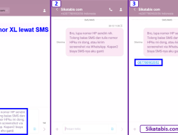 Cara Cek Nomor XL Lewat SMS dan Panduan Lengkap Cek Status Bansos Kemensos