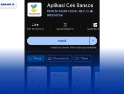 Panduan Lengkap Cara Cek Bansos Ibu Hamil Lewat NIK dan Mengatasi Kendala Nomor HP