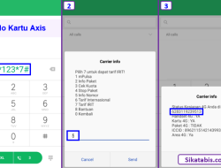 Panduan Lengkap Cara Cek Nomor HP Semua Operator dan Status Pencairan Bansos Kemensos